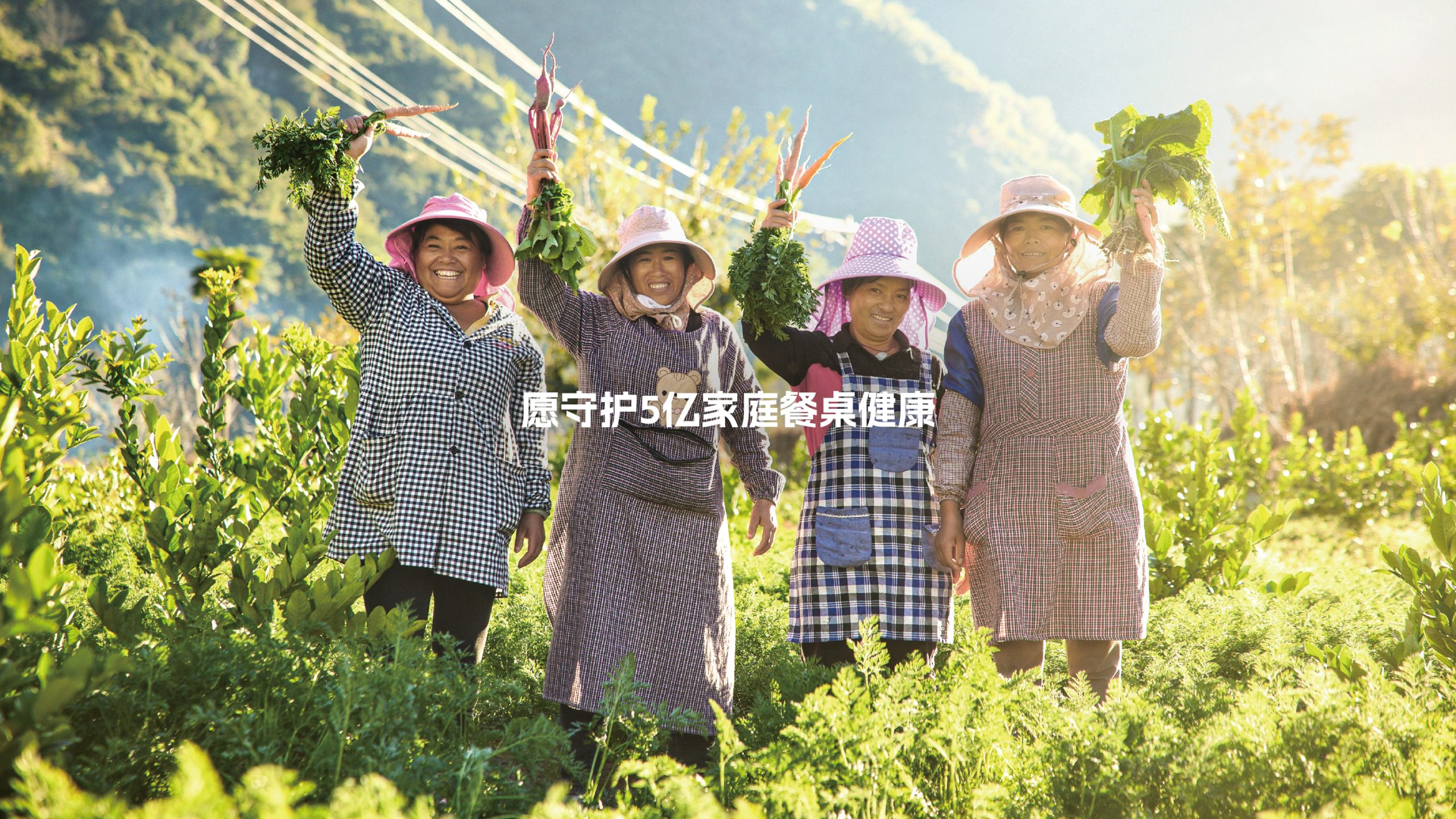 远方好物加盟必看丨2025远方好物商家白皮书