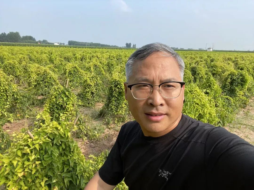远方商家说 | 铁棍山药粉-张小卫 黄河岸边的山药传香